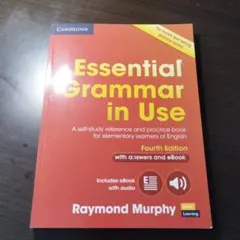 Essential Grammar in Use fourth edition
