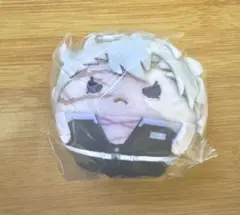 不死川実弥 鬼滅の刃 ふわコロりん6