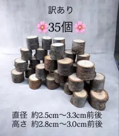 Item thumbnail for item 9b4db689-903c-443e-b194-9071b2cc03b5