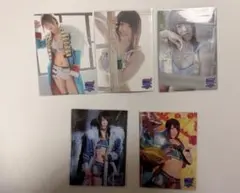 女子プロレス マリーゴールド 岩谷麻優 15周年カード 5種セット E