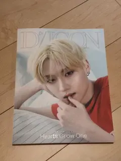 ALD1 DICON アンシン 本誌のみ - メルカリ