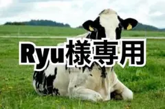 ライトイエロー5、黒5