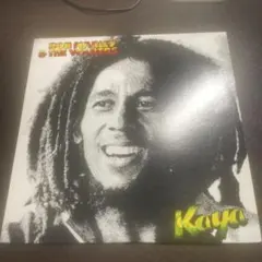 2026年最新】lpレコードbob marleyの人気アイテム - メルカリ