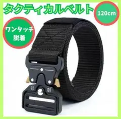 Item thumbnail for item 6e495ea1-cc29-49a1-8efc-48c318dd7e27