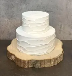 hiiiiina様専用 クレイケーキ　2段 ランダム　Φ10cm Φ15cm