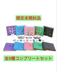 イーブイGXギフトセット 5種セット 専用ダンボール付き