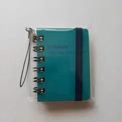 Item thumbnail for item d492e8ca-52a3-4383-92a2-c65635853716