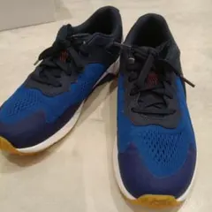 Item thumbnail for item f1b9fb30-60cf-48b9-8485-2be844b0a9cf