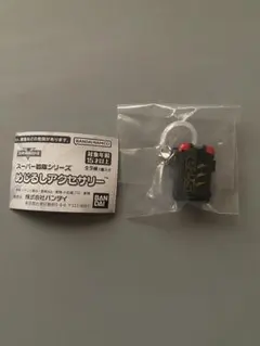 スーパー戦隊シリーズ めじるしアクセサリー マスターライセンス