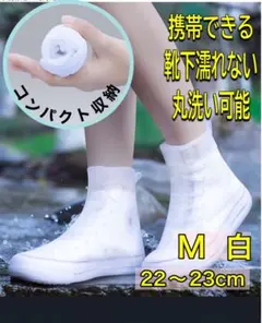 Item thumbnail for item b113c560-4b24-470a-89e7-0c817cf9a613