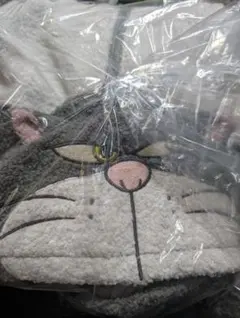 Item thumbnail for item a724f4bc-57ea-420f-b496-de183caaf54c