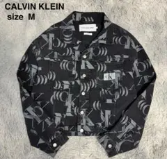 ジョングク　カルバンクライン デニムジャケット ボア ロゴ Calvin Klein ジョングク デニムジャケット グク カルバン