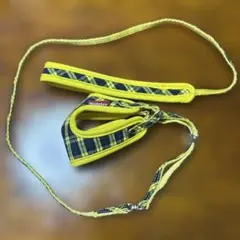 Item thumbnail for item 5789e23c-69fd-47fb-8446-41c3833f6d3c