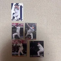 プロ野球チップスカード 埼玉西武ライオンズ