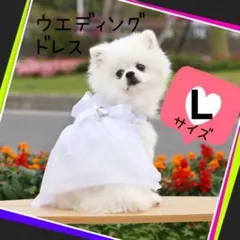 Lサイズ 犬用 ウエディング用服 白ドレス 結婚式 パーティ ドッグウエア