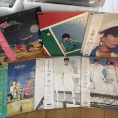 平野文レコードセット