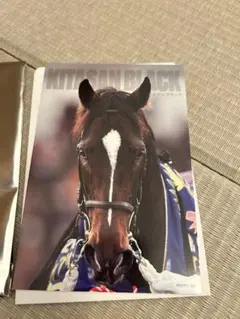 Item thumbnail for item 9931b4ae-e2c6-4855-87d8-c9b311280b94