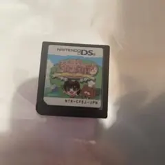 森のカフェテリア DS カセット 動作確認済み