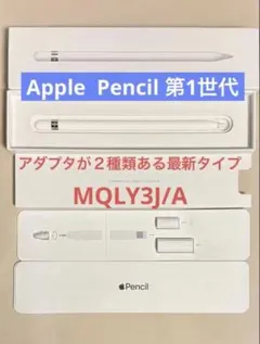ジャンク】Apple Pencil 第1世代 MK0C2J/A 付属品完備箱付 - メルカリ