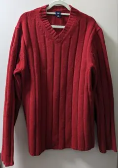 GAP 赤 Vネック セーター S/P