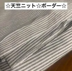 250B☆天竺ニット☆ボーダー柄☆グレー系☆