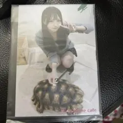 Item thumbnail for item eef760ea-3c80-4845-8be8-51247a4e5d06