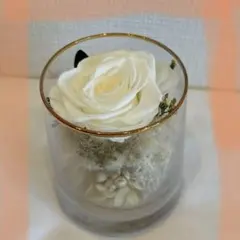 Item thumbnail for item 8a6b7fe2-f9be-4510-b85f-769649870c6e