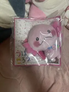 うぱごろう 佐藤大樹