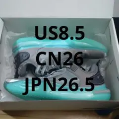 WADE ALL CITY 11 ウェイドオールシティ11　US8.5　26.5