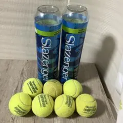 Item thumbnail for item 1f18b648-bbce-4261-bffa-f3318c43354b