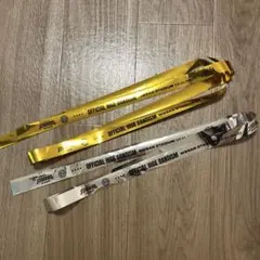 Item thumbnail for item d825d2dd-491b-4169-b99e-5e5f647b7386