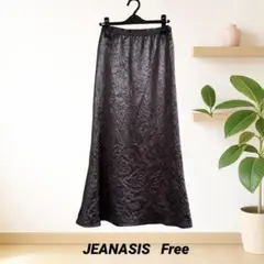【JEANASIS】 ワッシャーサテンフレアスカート　茶のサムネイル