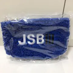 新品未開封☆三代目JSB 2019 “RAISE THE FLAG”ボアポーチ