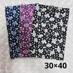 Item thumbnail for item 16e430a0-866b-4758-af97-851ed2bc1800