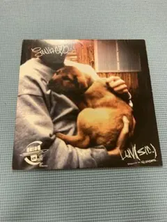 アナログ盤　Shingo O2 LUV(SIC.) 12インチレコード shingo02 luv sic part two 12ｲﾝﾁﾚｺｰﾄﾞ LUV(SIC) PART TWO 12