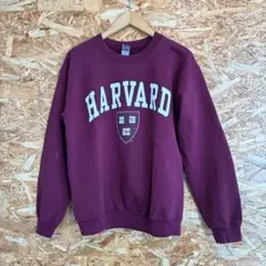 used 古着　ハーバード Harvard スウェット　GILDAN
