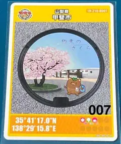 Item thumbnail for item 72ba91af-87ec-46f0-84f0-a430e534266d