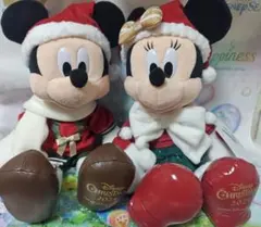 Alt様 リクエスト 2点 まとめ商品