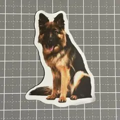 【KKK-38】防水ステッカー 犬 dog 動物 ジャーマンシェパード アメリカ