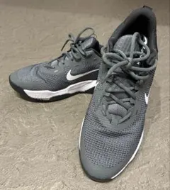 Nike AIR MAX ALPHA TRAINER 5