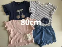 petit main まとめ売り 80cm プティマイン