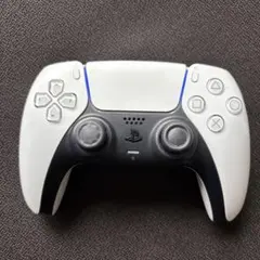 ps5 コントローラー ジャンク