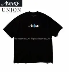 Awake NY アウェイク ニューヨーク× Union　ユニオン Teeのサムネイル