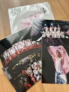 SnowMan 滝沢歌舞伎ZERO FINAL パンフレット 生写真 渡辺翔太