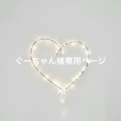 ぐーちゃん様専用ページ