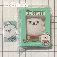 TXT プルバトゥ14