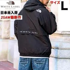 韓国　ノースフェイス　L　ビラン　ジャケット　マウンテンパーカー　ブルゾン　黒