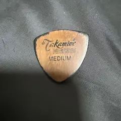 Item thumbnail for item 2103fe3b-7324-4d0a-92fd-23d727d15d53