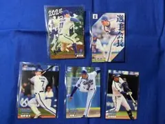 プロ野球チップス2024 横浜DeNAベイスターズ ランダムセット