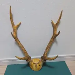 2026年最新】鹿 角 トロフィーの人気アイテム - メルカリ